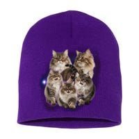 Persian Cats Collage Short Acrylic Beanie