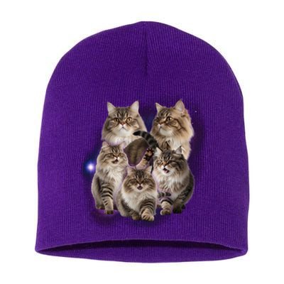 Persian Cats Collage Short Acrylic Beanie