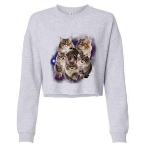 Persian Cats Collage Cropped Pullover Crew