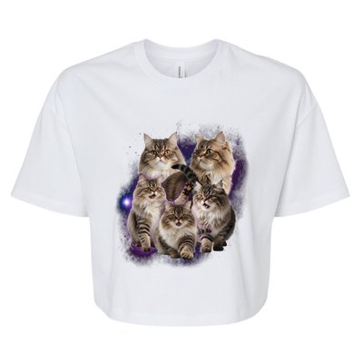 Persian Cats Collage Bella+Canvas Jersey Crop Tee