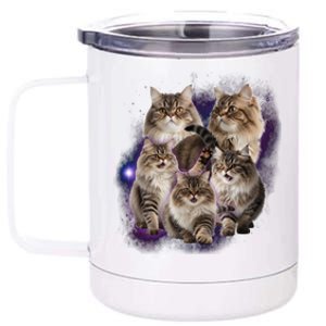 Persian Cats Collage 12 oz Stainless Steel Tumbler Cup