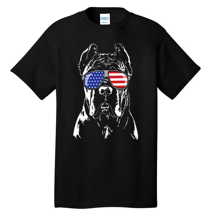 Proud Cane Corso American Flag Sunglasses Patriotic Dog Tall T-Shirt