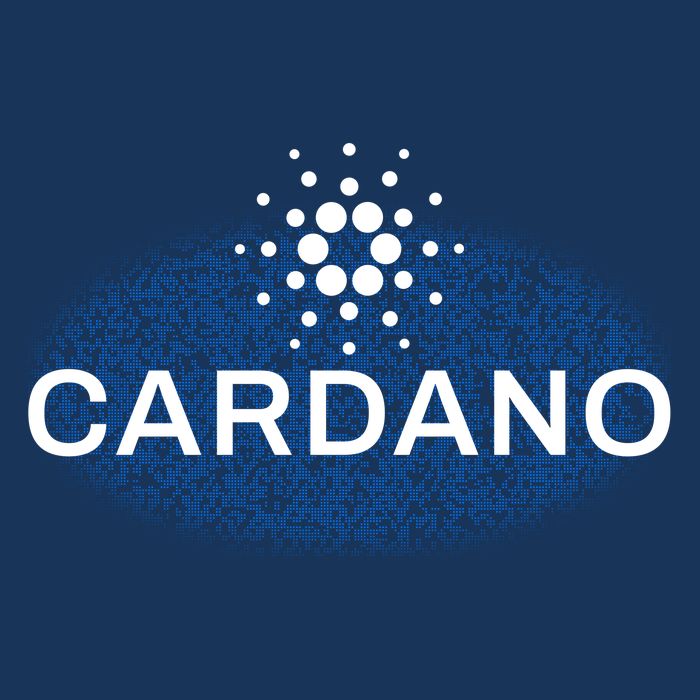 Pixel Cardano Cryptocurrency Logo 16 in Basic Backpack