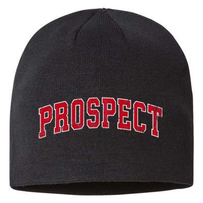 Prospect Connecticut Ct Vintage Sports Design Red Sustainable Beanie