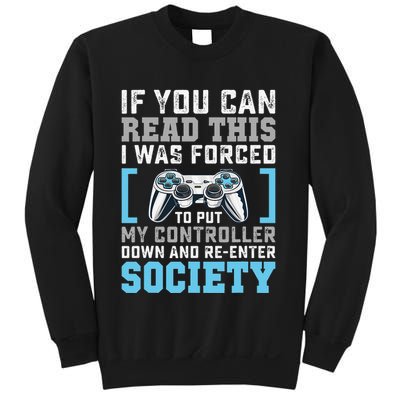 Put Controller Down ReEnter Society Funny Gamer Sweatshirt