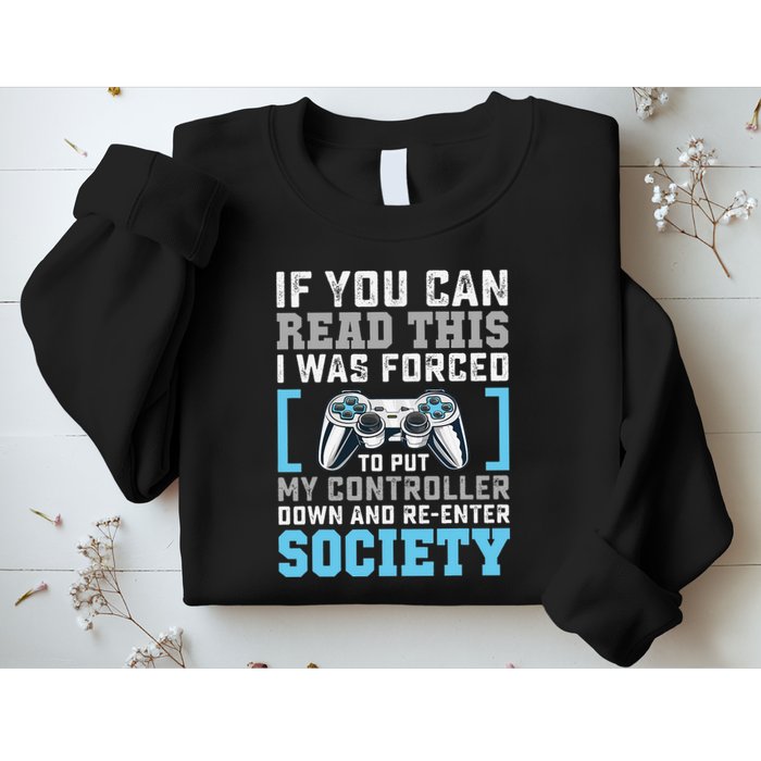 Put Controller Down ReEnter Society Funny Gamer Sweatshirt