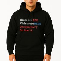 Programmer Coder Developer Programming Software Engineer Hoodie