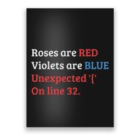 Programmer Coder Developer Programming Software Engineer Poster