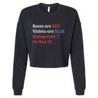 Programmer Coder Developer Programming Software Engineer Cropped Pullover Crew
