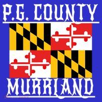 Pg County Dmv Moechella Don't Mute Dc Gogo Murrland Md Gift Tank Top