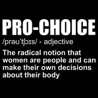 Pro Choice Definition 7-Panel Snapback Hat
