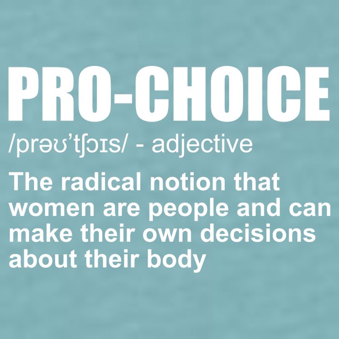 Pro Choice Definition Sueded Cloud Jersey T-Shirt