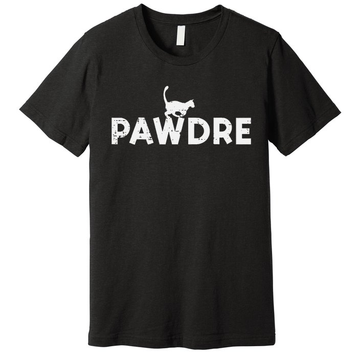 Pawdre Cat Dad Cute Fur Papa Fathers Day Pet Paw Daddy Premium T-Shirt