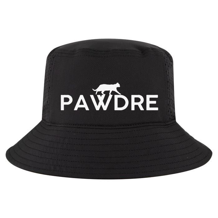 Pawdre Cat Dad Father S Day Lover Cool Comfort Performance Bucket Hat