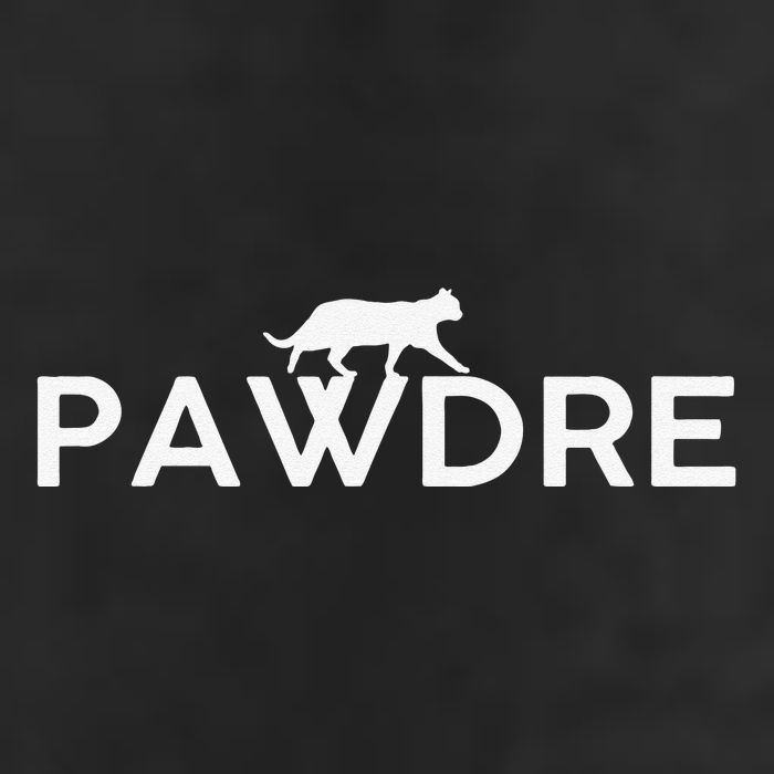 Pawdre Cat Dad Father S Day Lover Cool Comfort Performance Bucket Hat
