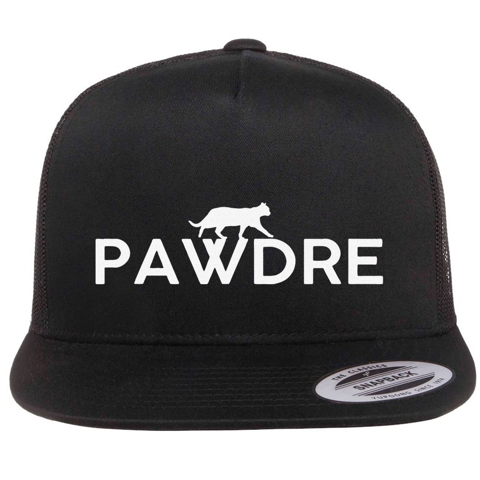 Pawdre Cat Dad Father S Day Lover Flat Bill Trucker Hat