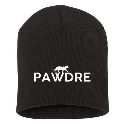 Pawdre Cat Dad Father S Day Lover Short Acrylic Beanie