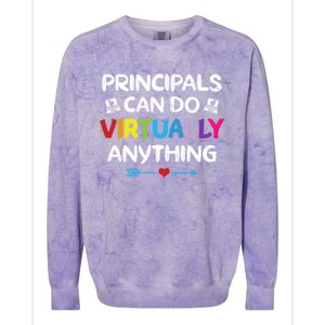 Principals Can Do Virtually Anything Funny Quote Home School Gift Colorblast Crewneck Sweatshirt