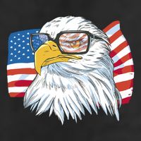 Patriot Cool Eagle USA Flag 11oz C Handle Ceramic Mug
