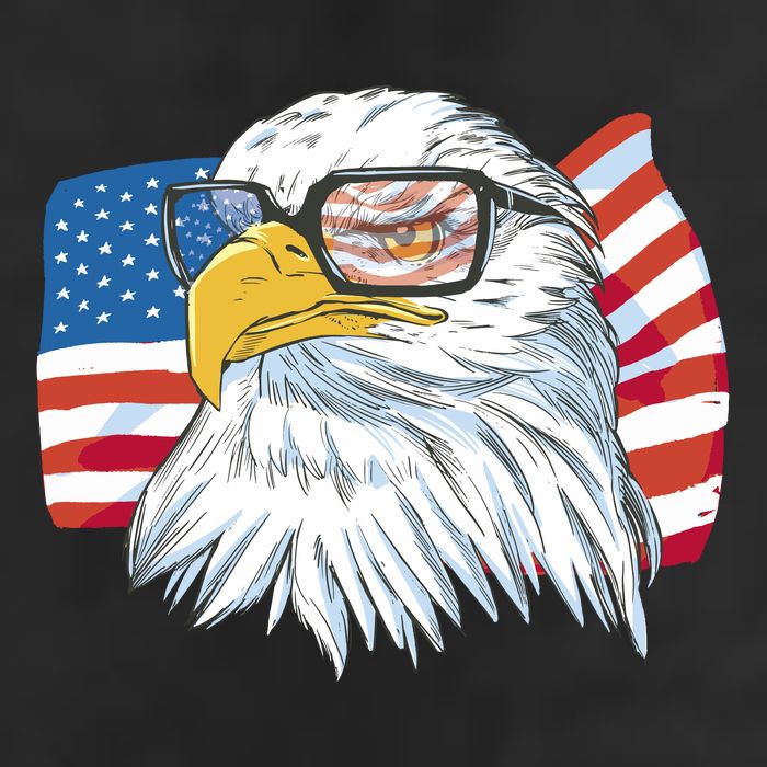 Patriot Cool Eagle USA Flag 11oz C Handle Ceramic Mug