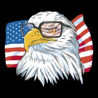 Patriot Cool Eagle USA Flag Bag