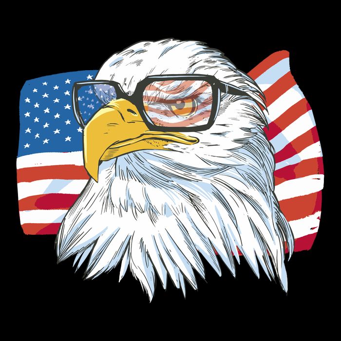 Patriot Cool Eagle USA Flag Poster