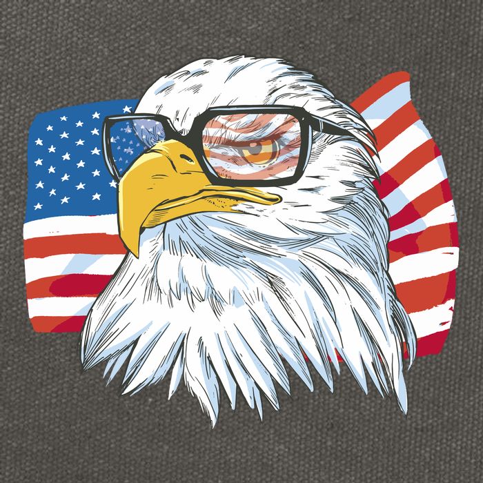 Patriot Cool Eagle USA Flag Cotton Canvas Backpack