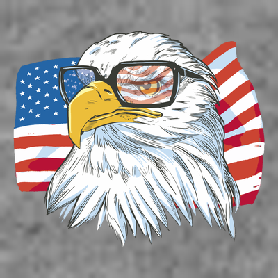 Patriot Cool Eagle USA Flag T-Shirt
