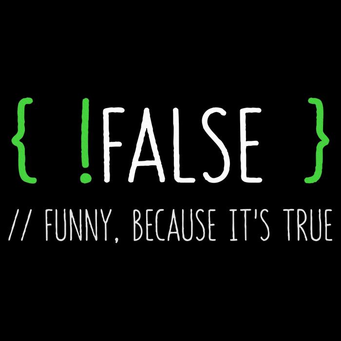 Programmer Computer Engineer Funny False Programming Coding Tall Hoodie