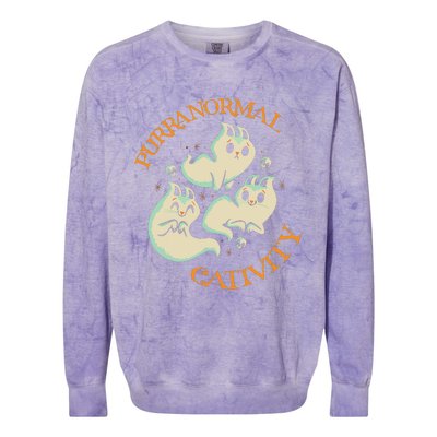 Purranormal Cativity Funny Halloween Costume Ghost Cats Gift Colorblast Crewneck Sweatshirt