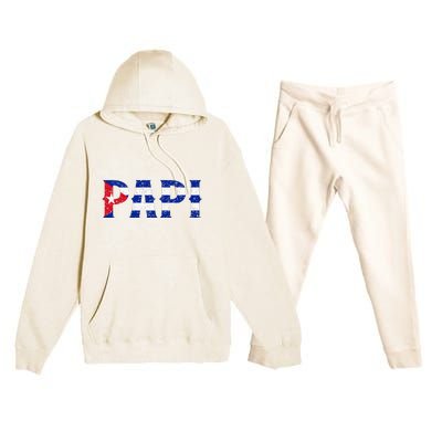 Papi Cuban Flag Cuba Proud FatherS Day Premium Hooded Sweatsuit Set