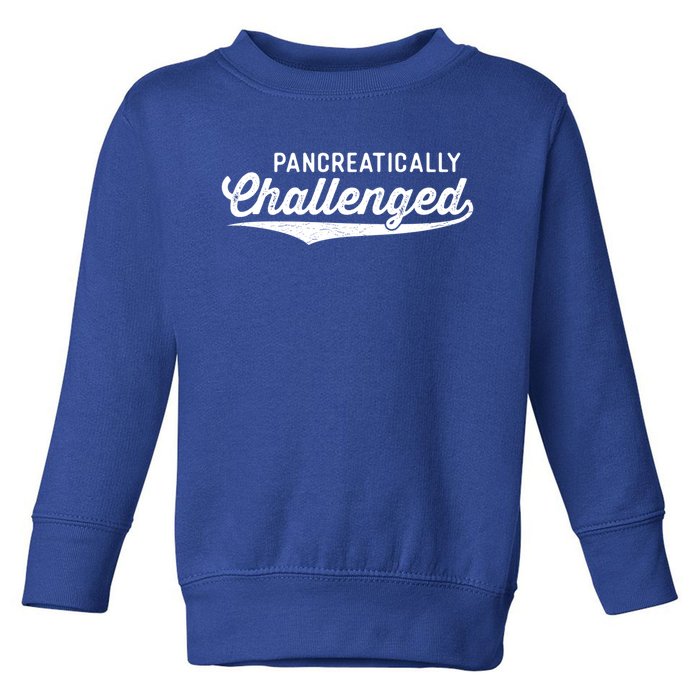 Pancreatically Challenged Funny Type 1 Diabetes Awareness Cool Gift Toddler Sweatshirt