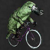 Platypus Cycling Funny Platypus Lover Platypus Bicycle Hat