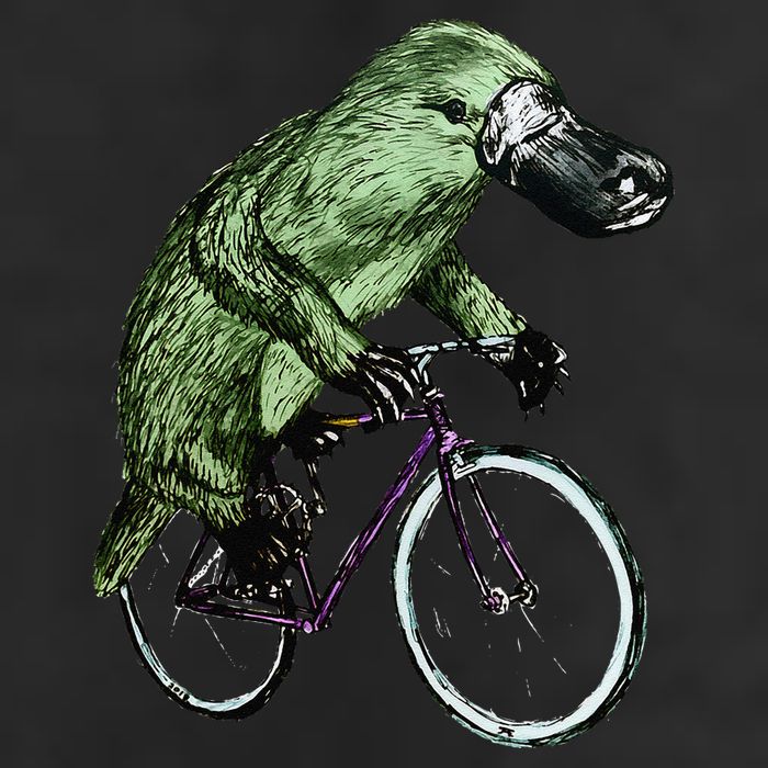 Platypus Cycling Funny Platypus Lover Platypus Bicycle Hat
