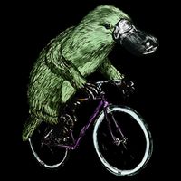 Platypus Cycling Funny Platypus Lover Platypus Bicycle Cropped Pullover Crew