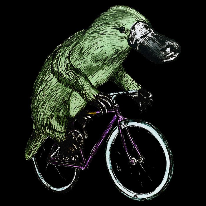 Platypus Cycling Funny Platypus Lover Platypus Bicycle Cropped Pullover Crew