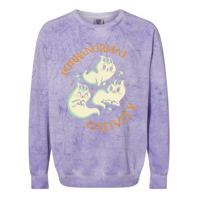 Purranormal Cativity Funny Halloween Costume Ghost Cats Gift Colorblast Crewneck Sweatshirt