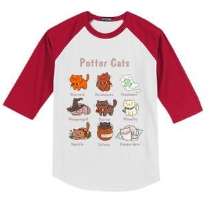 Potter Cats Funny Gifts For Cat Lovers Kids Colorblock Raglan Jersey