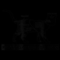 Petting Chart For A Cat Funny How To Pet A Cat Meme 16oz Travel Tumbler