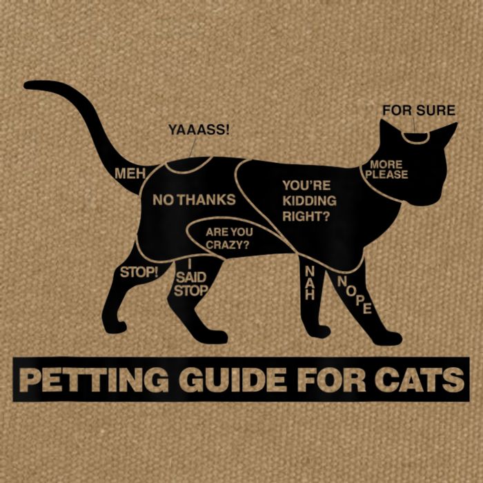 Petting Chart For A Cat Funny How To Pet A Cat Meme Cotton Canvas Backpack