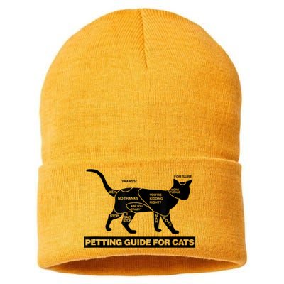 Petting Chart For A Cat Funny How To Pet A Cat Meme Sustainable Knit Beanie