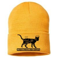 Petting Chart For A Cat Funny How To Pet A Cat Meme Sustainable Knit Beanie