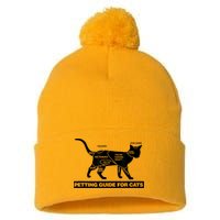Petting Chart For A Cat Funny How To Pet A Cat Meme Pom Pom 12in Knit Beanie