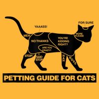 Petting Chart For A Cat Funny How To Pet A Cat Meme Pom Pom 12in Knit Beanie
