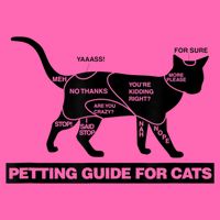 Petting Chart For A Cat Funny How To Pet A Cat Meme Stripe Pom Pom Beanie