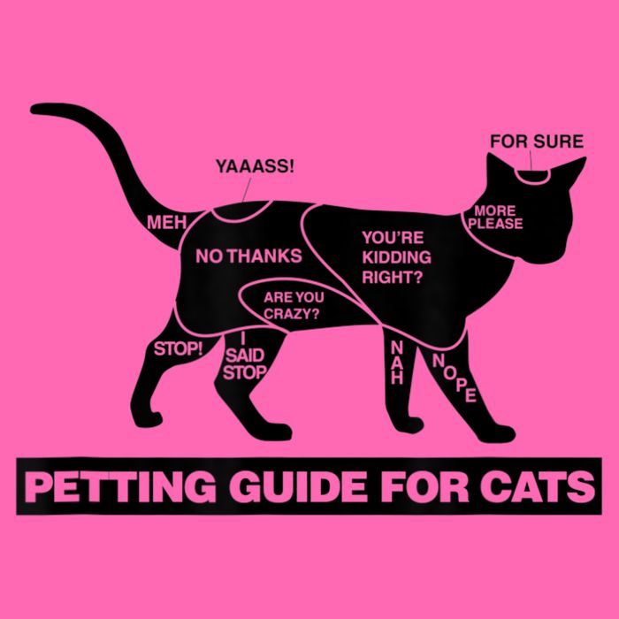 Petting Chart For A Cat Funny How To Pet A Cat Meme Stripe Pom Pom Beanie
