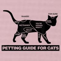 Petting Chart For A Cat Funny How To Pet A Cat Meme 25L Jumbo Tote