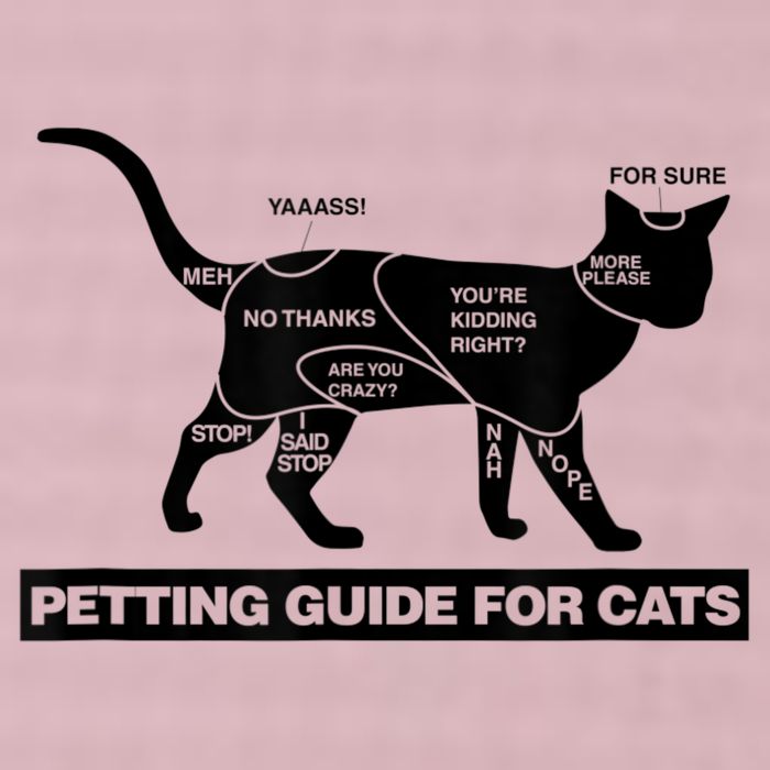 Petting Chart For A Cat Funny How To Pet A Cat Meme 25L Jumbo Tote