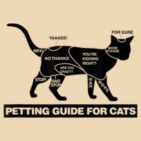 Petting Chart For A Cat Funny How To Pet A Cat Meme Drawstring Bag