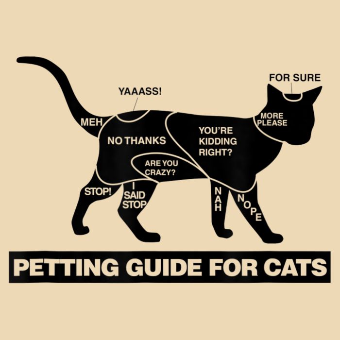 Petting Chart For A Cat Funny How To Pet A Cat Meme Drawstring Bag